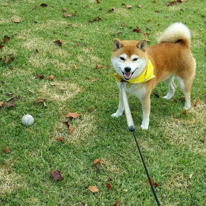 21958b06 6414 4c6f 8c6e 436e90205ffa