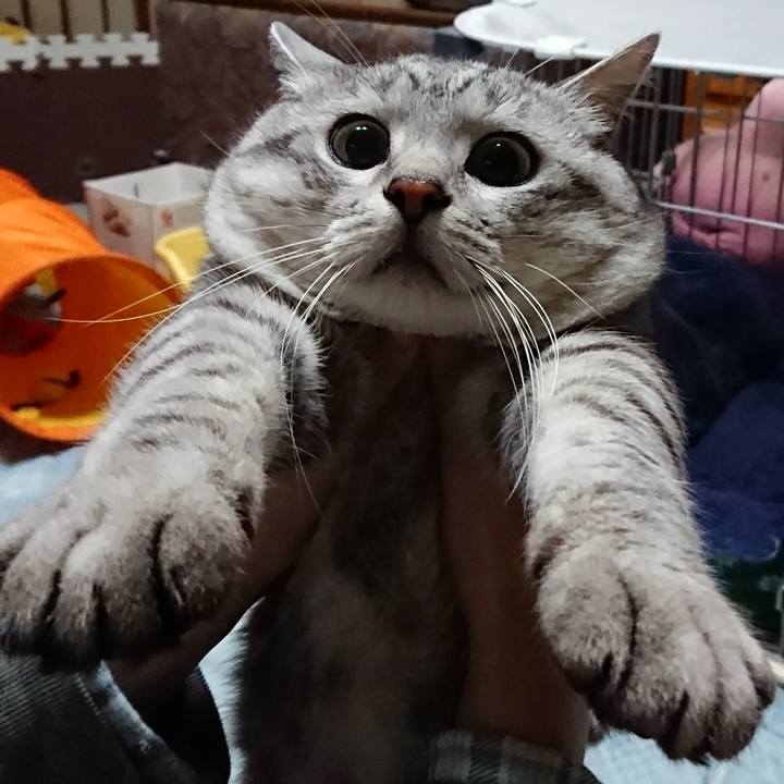 21963a88 7987 4da1 9c7a 323a7b0921e6