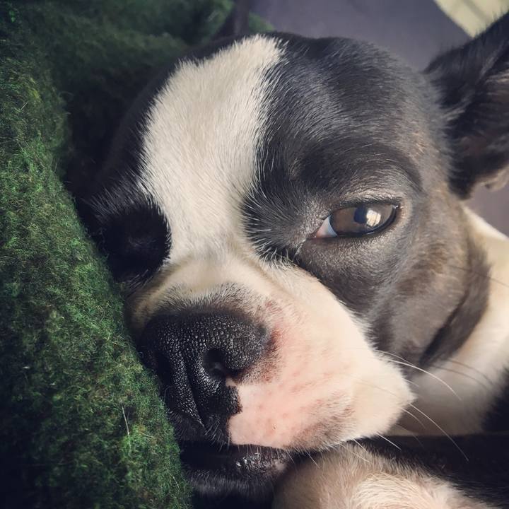 219740d8 7f72 4fff be0d 41dde85fba94