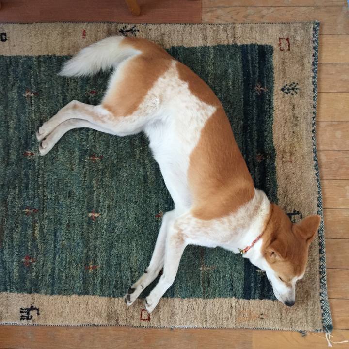 219869da 83a4 4a8a 8fcf 675612e76bdd