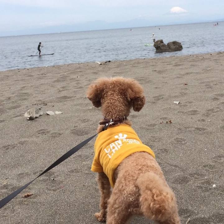 2198b33f eafe 4a00 9aec 0408d1d81736