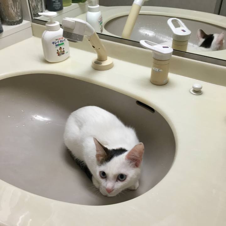 2198baf8 bc4e 46ea a1d8 01f30b050201