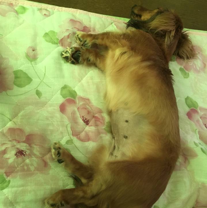 2198e02f e909 4043 8b62 d4cb55ce06df