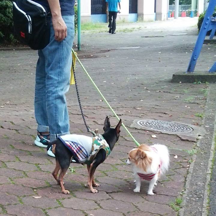 21997e30 d649 4c3a b470 32519b7b7c6c