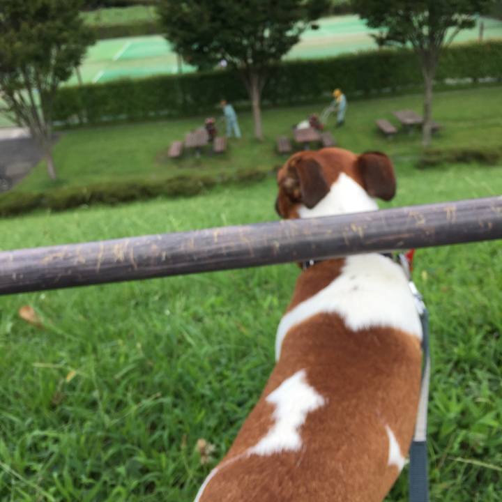 21998e80 71f5 450a b61b 6dd95c220b7b