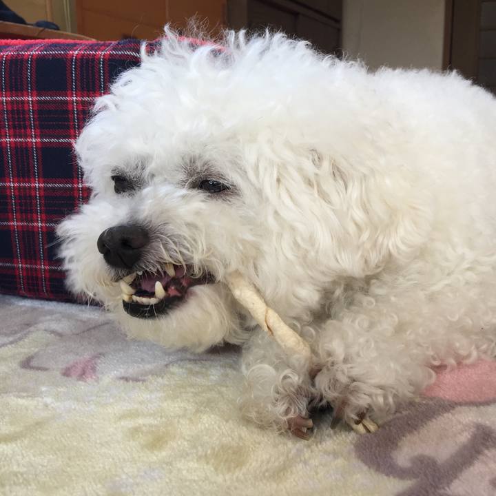 219a0170 e48c 46ed 864e b4c07ef8fbf5