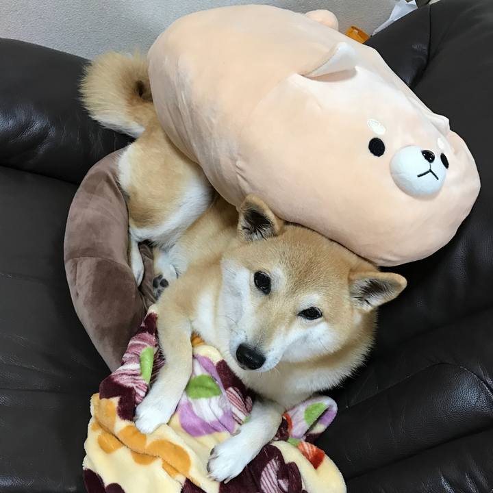 219a3fd9 a599 473c ae1f 26001cecb9e1