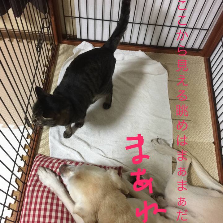 219ab38a 0d25 4b5c 8cbe c974fc17efc9