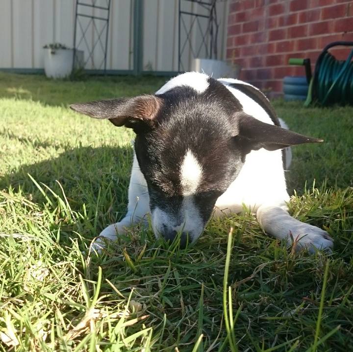 219ac518 04c5 41b2 88be d2dafa8e5072