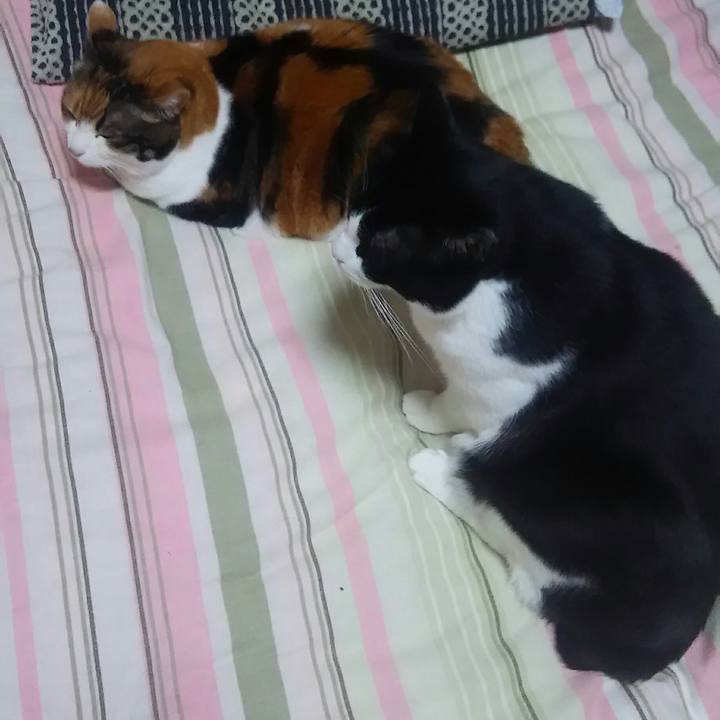 219bef87 c776 497b 9dc6 155216685733