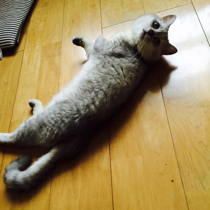 219c768d 78cd 489b be28 8719aaf72811