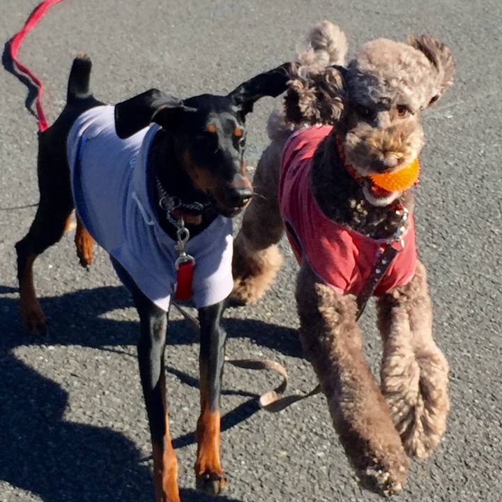 219c979d 7e18 4799 9a5d 1b01ed709452