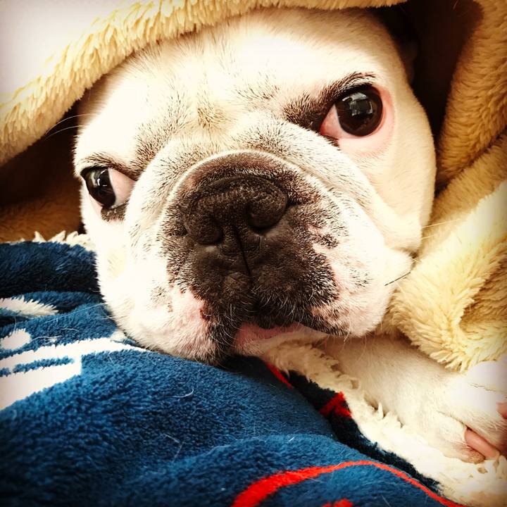 219ca5ee be18 40c1 b379 4ffd84884a97