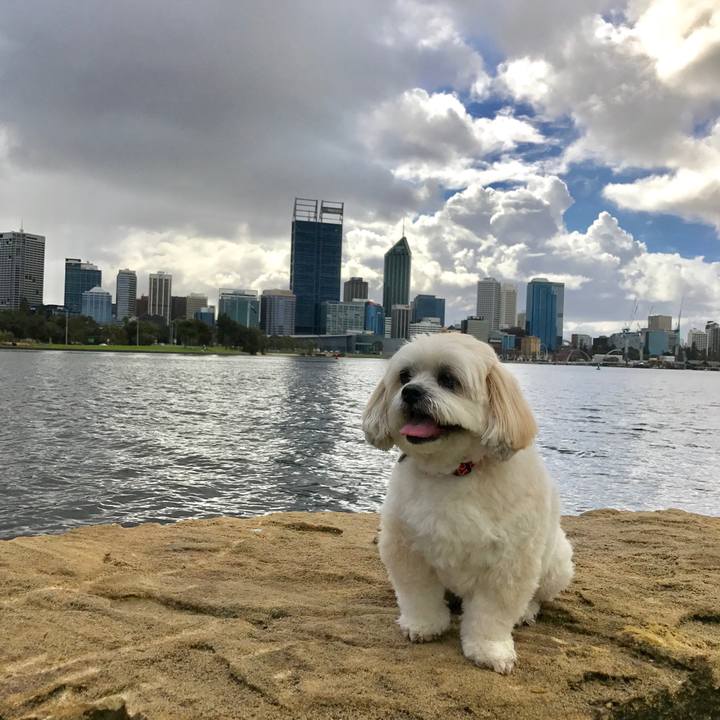 219cc1e5 eb91 4029 8b08 148420d91622