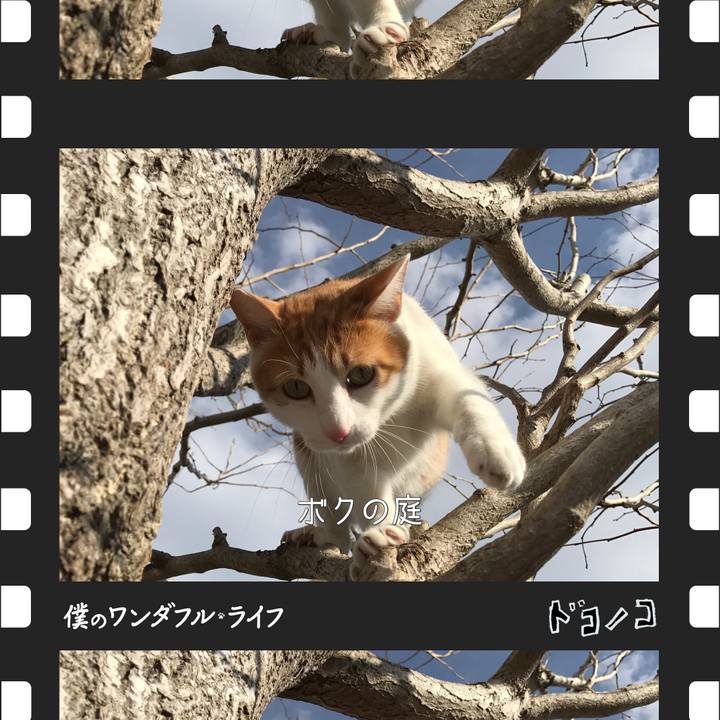 219d5c33 c060 42e1 8a67 cf8149452819