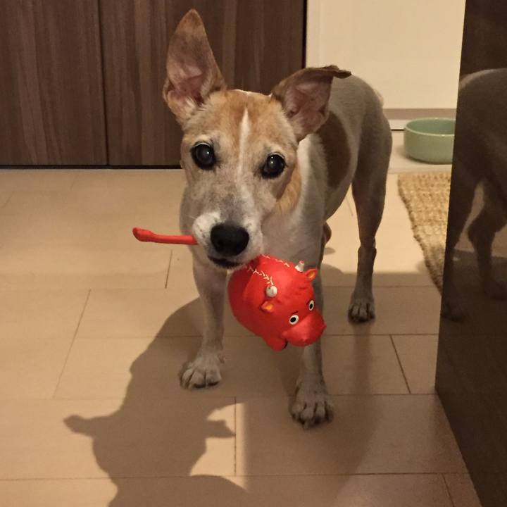 219e4b06 1678 494a b3be 9935a0bdbd1a