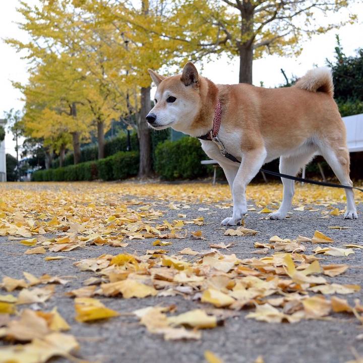 219ebd60 58fd 440d 8ab7 da94edfeb679