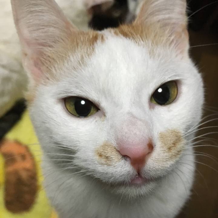 219f00d7 9e4b 4140 a03c e716aa68b54d