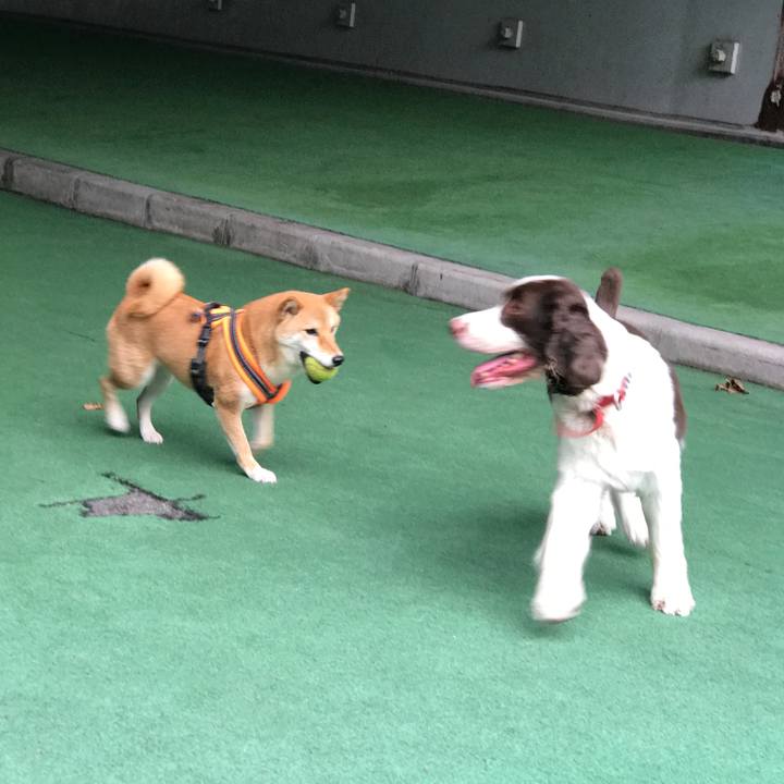 219f6248 93f2 408c 825b 378412f32351