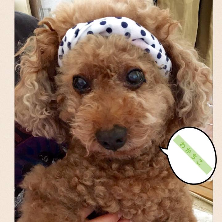 21a06ded 1b71 41ef b854 6871cb2d5732