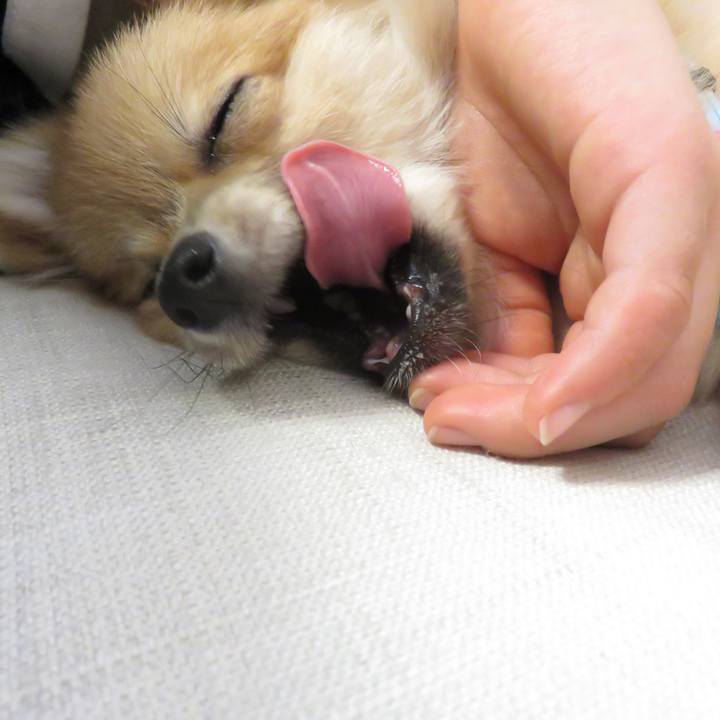 21a09bf8 592c 4c45 96e6 7e7be7b976e6