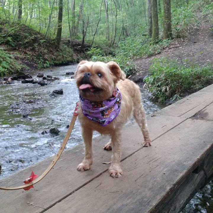 21a1dc49 b6d9 45fa a28c 07cb03b87852