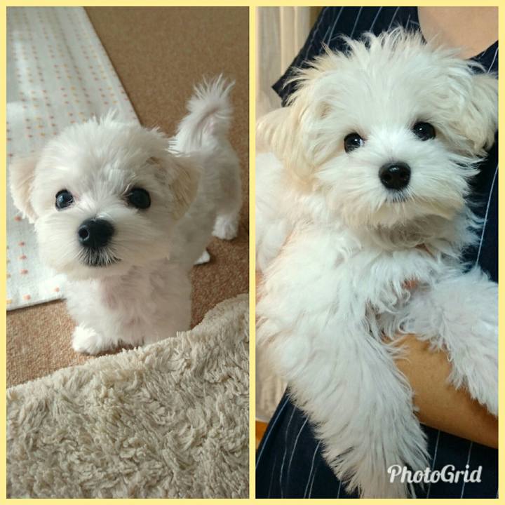 21a22211 0bda 4fee 9e6b c25433ccf09a