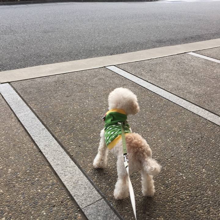 21a24d40 4ffb 4c66 b56d 5b6663bda5bd