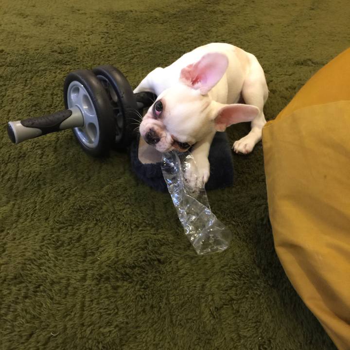 21a2632d e2f7 4b20 9710 866568ed8f20