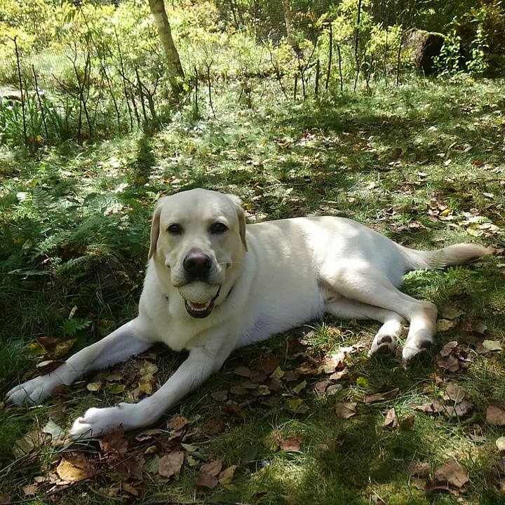 21a2ad02 4d7e 44f7 89a2 33b93642397e