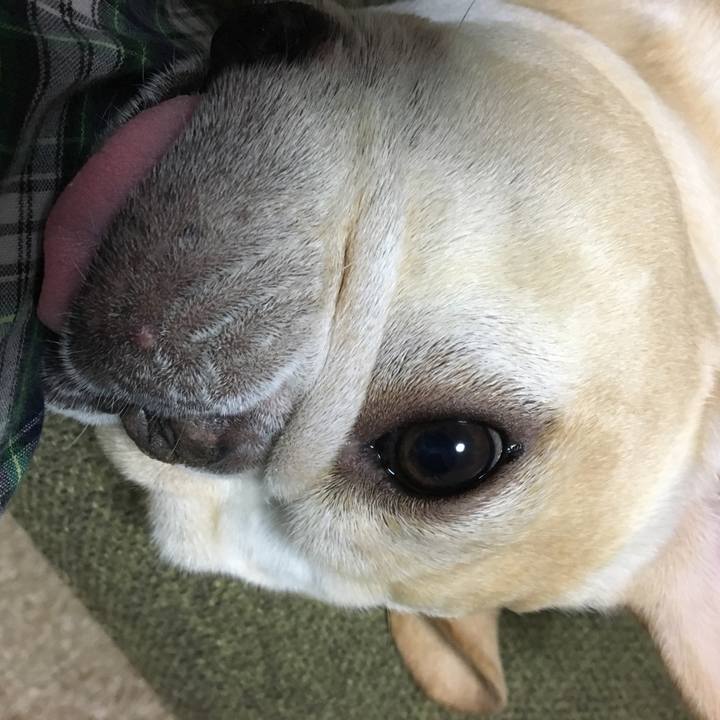 21a3834e 2b59 4bfd 83c5 6c7a5e687726