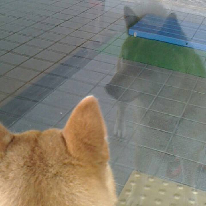 21a451b1 2f9f 44cb a4a9 0bdc14802b48