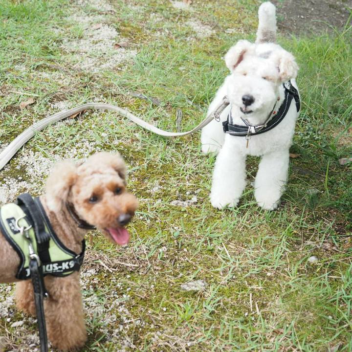 21a47981 f1db 4166 aef6 d6c1cccd3bcb