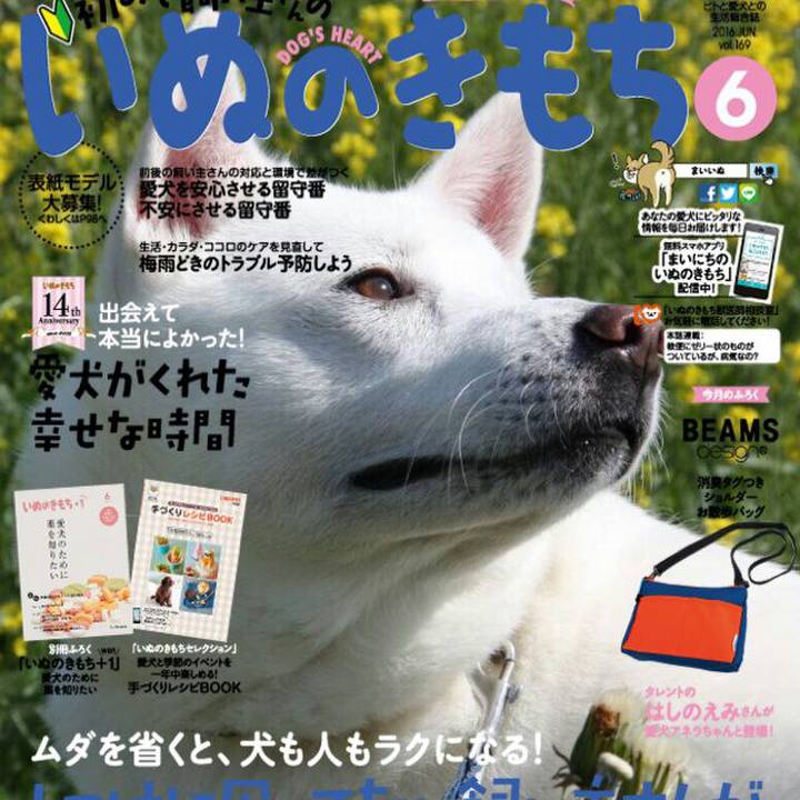 21a4efe7 d74a 4f14 bb5b 704663fe1a51