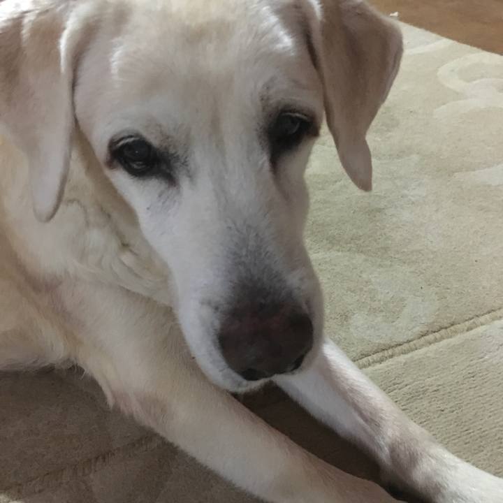 21a557fe 6370 4dc4 a328 aaae477991e1