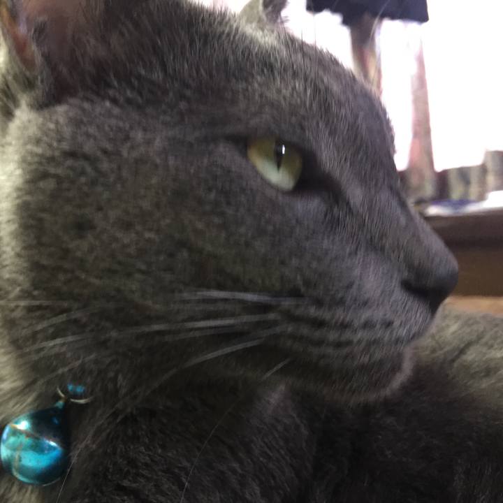 21a55831 d52b 4a29 a0b1 1171a6ba705a