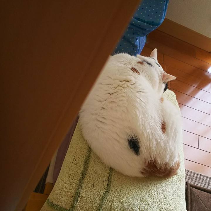 21a5789a 3fa4 4b25 8898 c8000f412da0