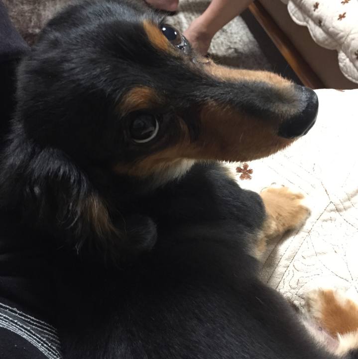 21a59e4f d60e 423d 90fd 63cbcf515f7c