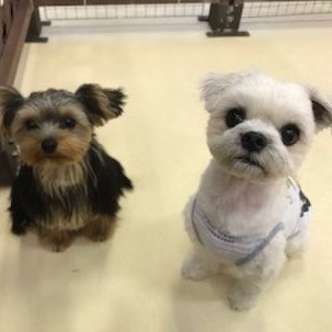 21a5c196 388f 4d30 8396 1b09476f8b29