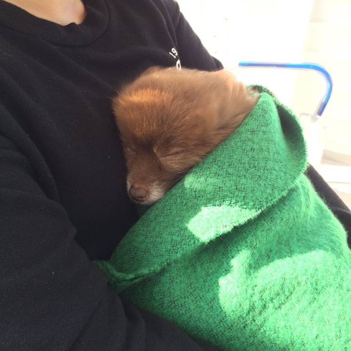 21a74a15 ec97 4bf4 91f4 8382f194551f