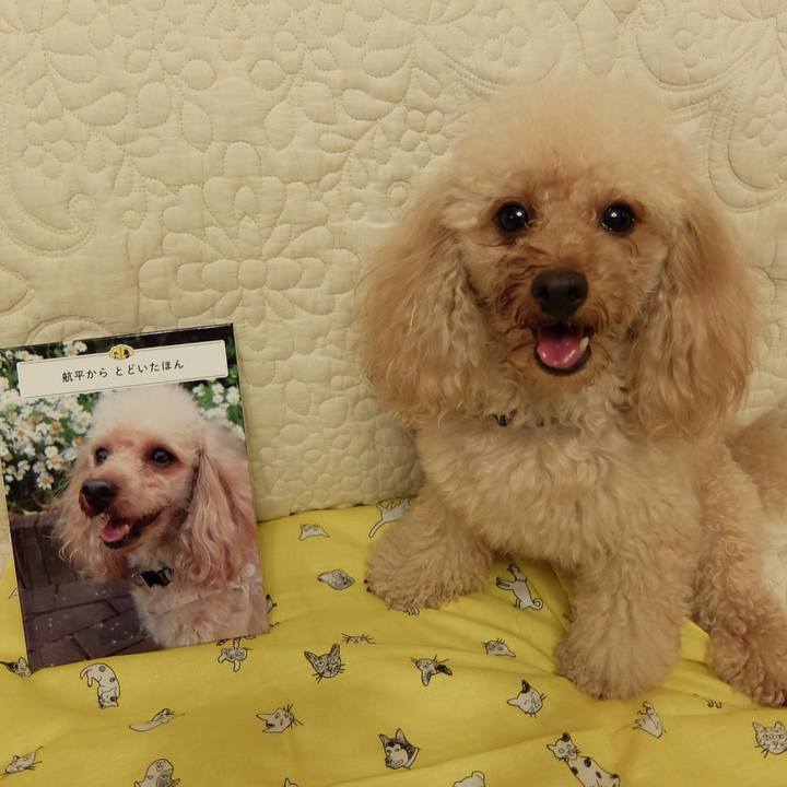 21a7fa86 c421 48c0 9412 34c57c2fa880