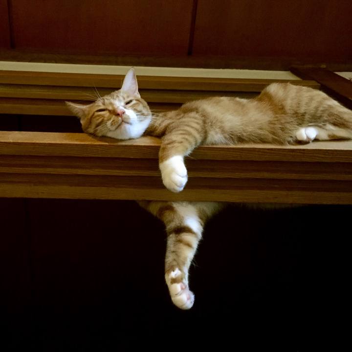 21a82b61 a428 4982 8438 771da4d76fe2