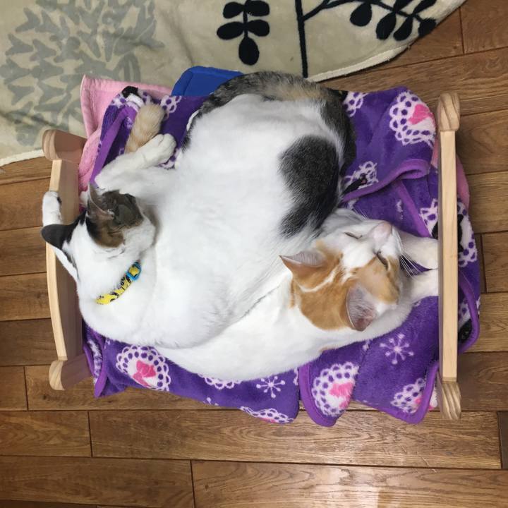 21a90952 9cbc 4365 9193 d419a13568d4