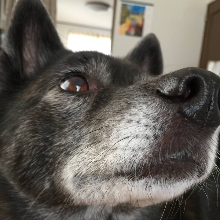 21a96b75 6288 4dd1 ab08 1a8522b51564