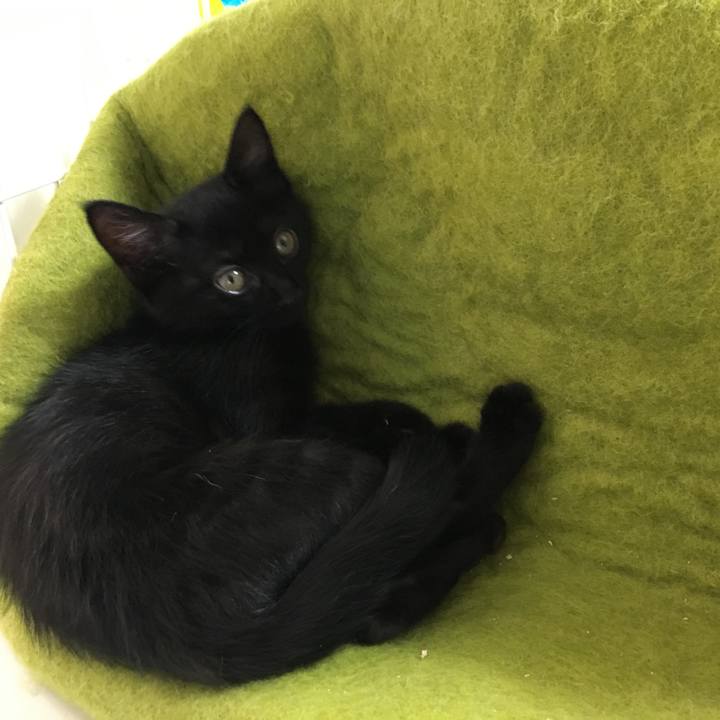 21a99310 0b38 42cc 8920 1f1a504cdfca