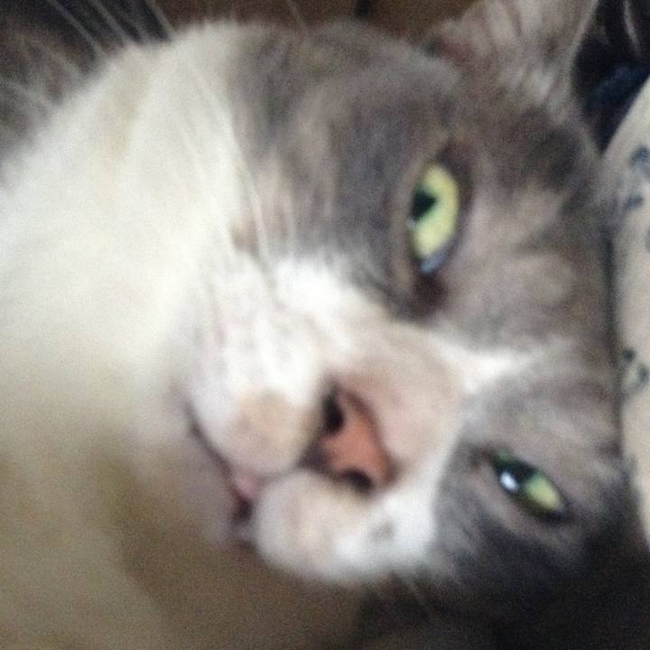 21a9b3d6 e703 45dc 9f7f ca2fb5348d38