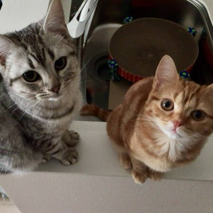 21aa5e1c a893 4694 b8a6 1490c1f48bea