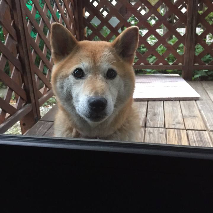 21aafddb b8f7 44f0 9e02 2181f40cf6d1