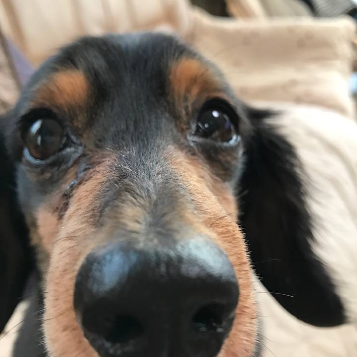 21abc60a 5f33 4eb1 8ec5 66c5737fb758