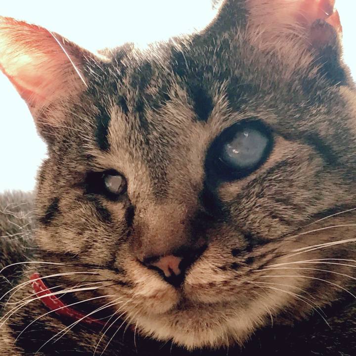 21ac33d3 dc4b 4b74 b03f 14f686d1d6ed